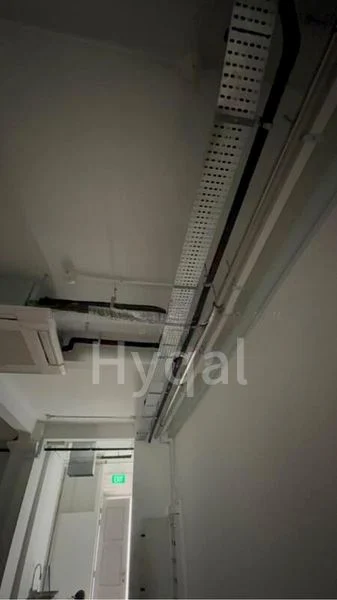 Food & Beverage for Rent: Rowell Road Shop - Image 7