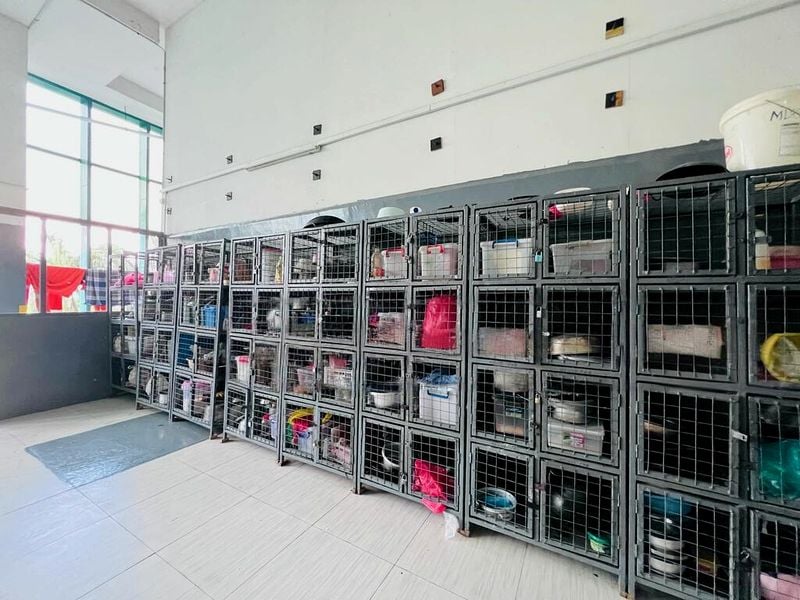 Factory / Workshop (B2) for Sale: B2 factory on a URA land plot featuring an approved secondary dormitory. - Image 2