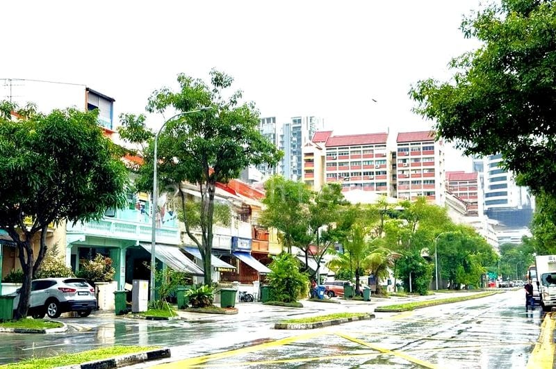 Shop / Shophouse for Sale: Tessensohn Road Conservation Shophouse - Image 5