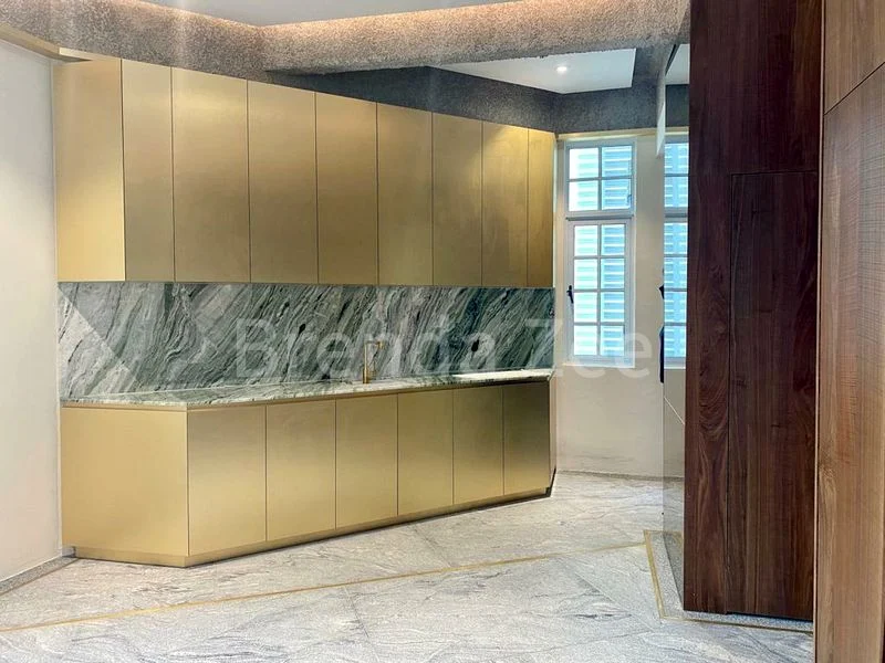 Shop / Shophouse for Sale: Corner Conservation Shophouse ✧ Near Clarke Quay MRT - Image 6