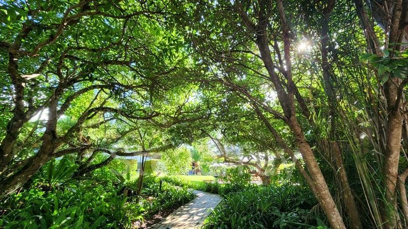 7 Bed Bungalow (Landed) for Sale in Van Holland - Image 4