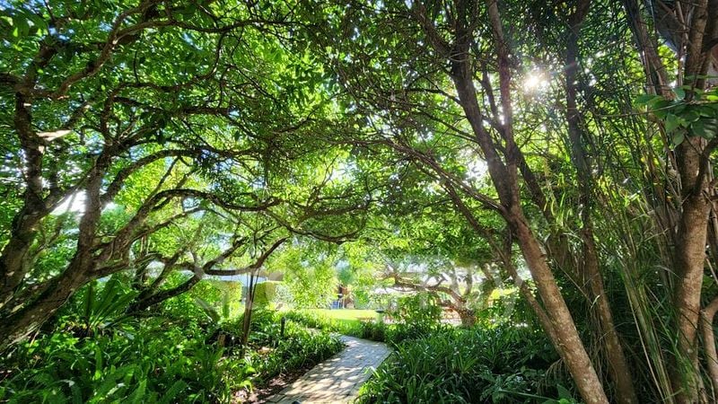 7 Bed Bungalow (Landed) for Sale in Van Holland - Image 12