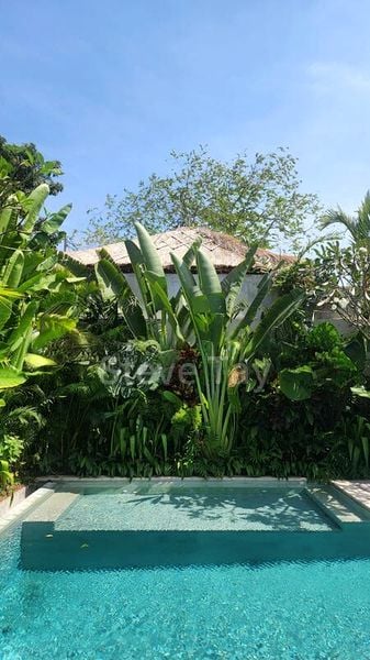 7 Bed Bungalow (Landed) for Sale in Van Holland - Image 2