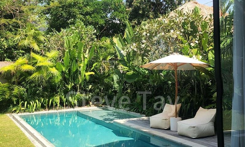 7 Bed Bungalow (Landed) for Sale in Van Holland - Image 7