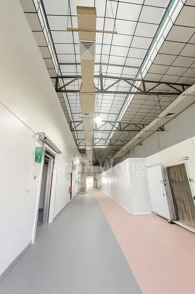 Factory / Workshop (B2) for Rent: 62 Woodlands Terrace - Image 3