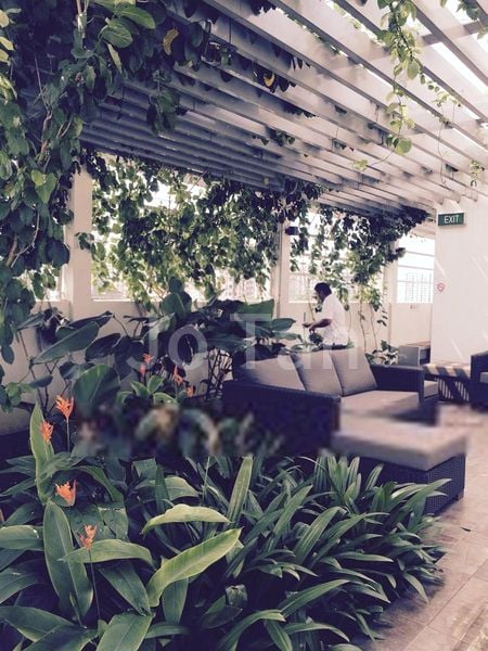 2 Bed Condo for Rent in  Lotus at Paya Lebar (East Wing) - Image 7