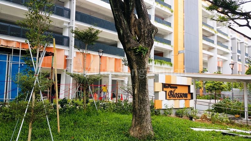 Shop / Shophouse for Sale in  Circuit Road - Image 4