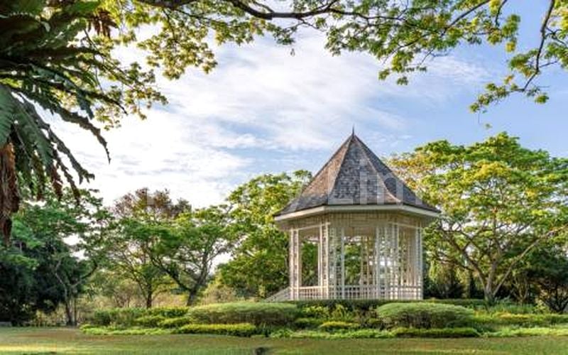 1+1 Bed Condo for Sale in 19 Nassim - Image 2