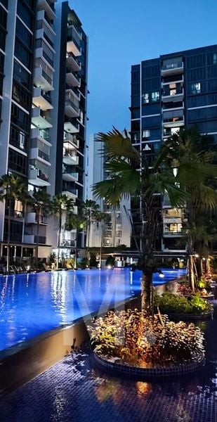 Common Room (Condo) for Rent in  La Fiesta - Image 3