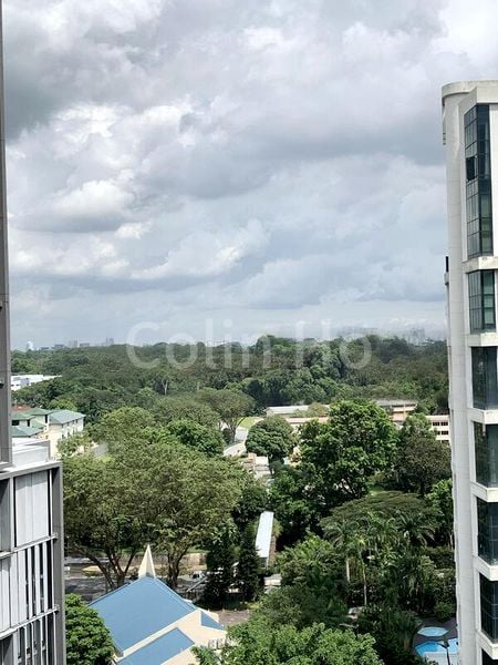 2 Bed Apartment (Condo) for Rent in  Robin Suites - Image 6