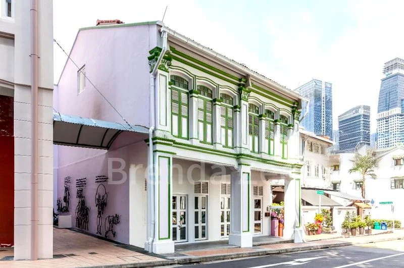 Shop / Shophouse for Sale: Craig Road ✧ A Conserved Shophouse in Tanjong Pagar - Image 2