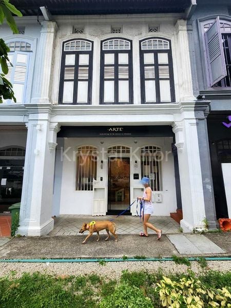 Office for Sale: A Prestigious Freehold Shophouse on Cantonment Road - Image 2