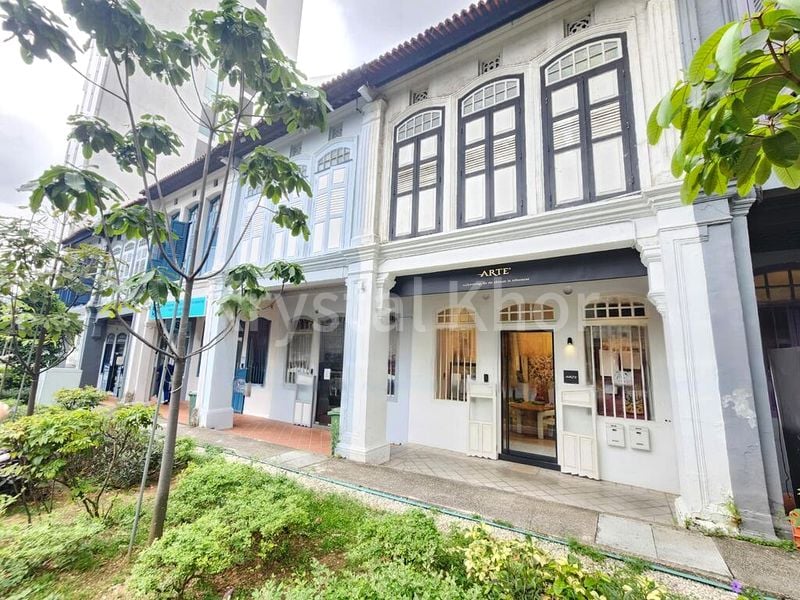 Office for Sale: A Prestigious Freehold Shophouse on Cantonment Road - Image 13