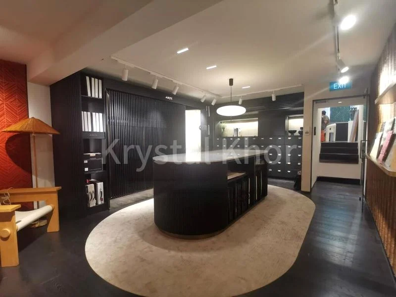 Office for Sale: A Prestigious Freehold Shophouse on Cantonment Road - Image 9