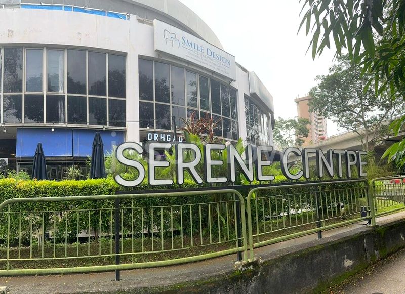 Shop / Shophouse for Rent: Serene Centre - Image 2