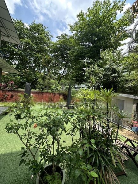 4 Bed Apartment (Condo) for Rent in  Moulmein Court - Image 12