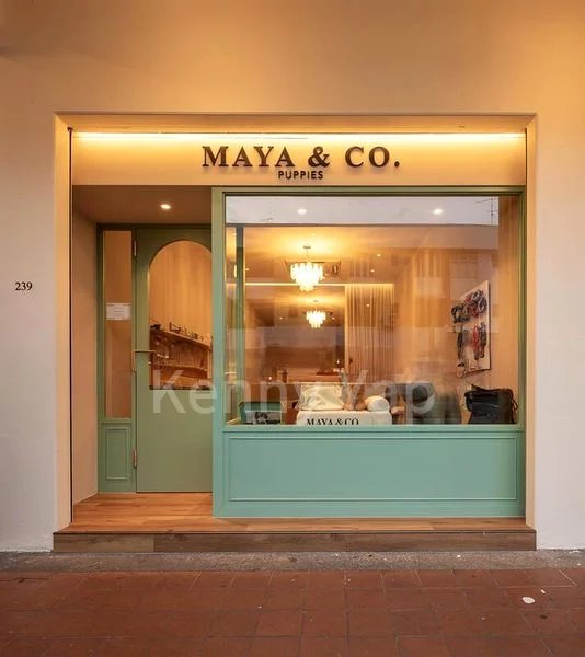 Shop / Shophouse for Rent: 239 Joo Chiat Road - Image 7