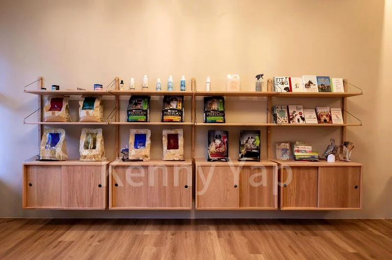 Shop / Shophouse for Rent: 239 Joo Chiat Road - Image 4