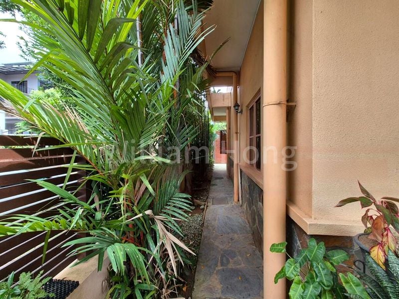 4+1 Bed Corner Terrace (Landed) for Sale in Serangoon Garden Estate - Image 5