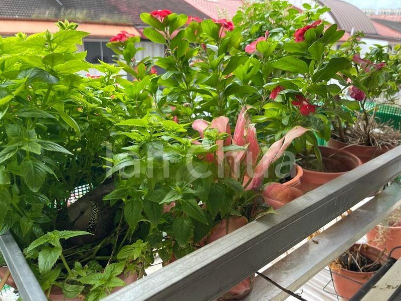 Room Condo for Rent in  Deng Fu Ville - Image 6