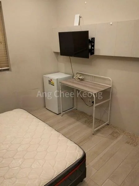 Room (Condo) for Rent in  3 Lorong 19 Geylang - Image 10