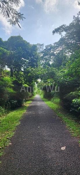 2 Bed Condo for Rent in  Avenue South Residence - Image 18