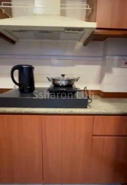 Master Room (Condo) for Rent in Dover Parkview - Image 7