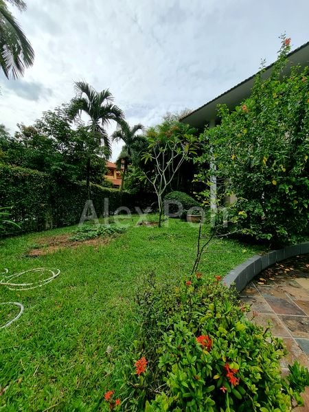 6 Bed Good Class Bungalow (Landed) for Rent in Swettenham Road - Image 22