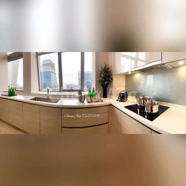 4 Bed Condo for Sale in  V On Shenton - Image 21