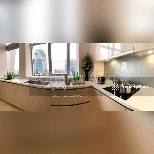 4 Bed Condo for Sale in  V On Shenton - Image 5