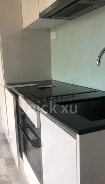 1 Bed Condo for Rent in Park Residences Kovan - Image 3