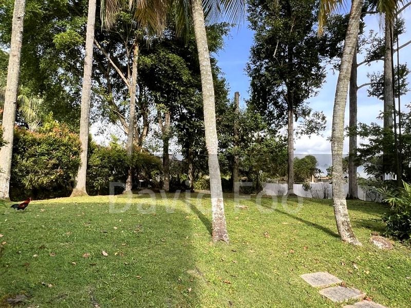 6 Bed Bungalow (Landed) for Rent in  Swiss Club Road - Image 1