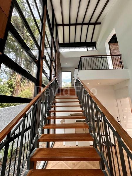 6 Bed Bungalow (Landed) for Rent in  Rebecca Park - Image 8