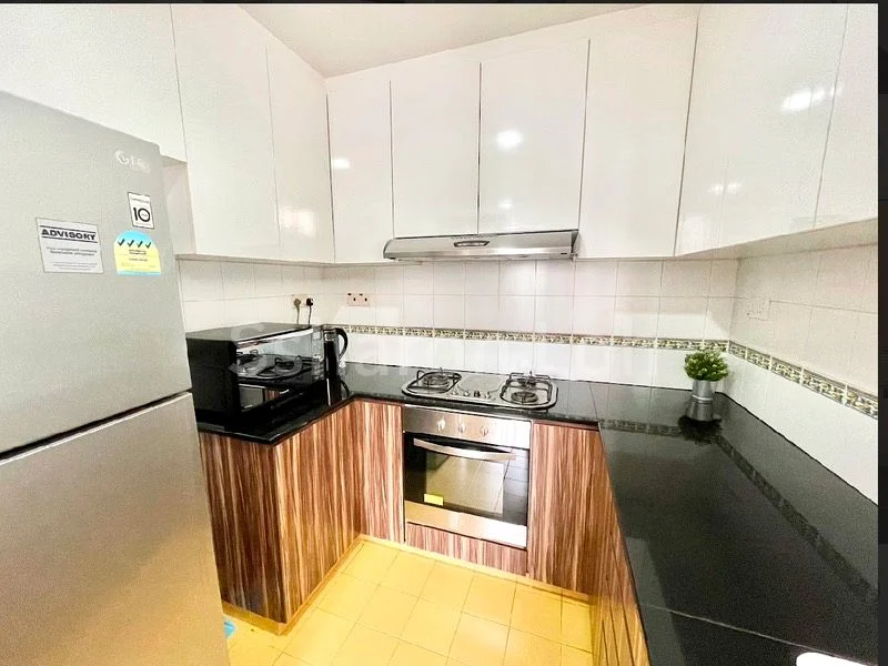 Common Room (Condo) for Rent in Thomson Euro-Asia - Image 10