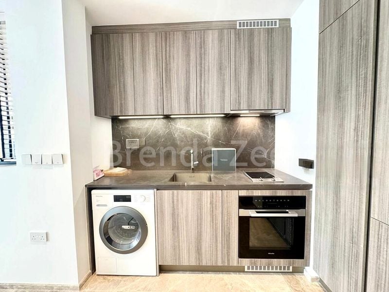 2 Bed Condo for Rent in Klimt Cairnhill - Image 8