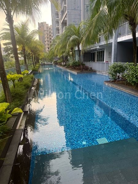 3 Bed Condo for Rent in  Seastrand - Image 10