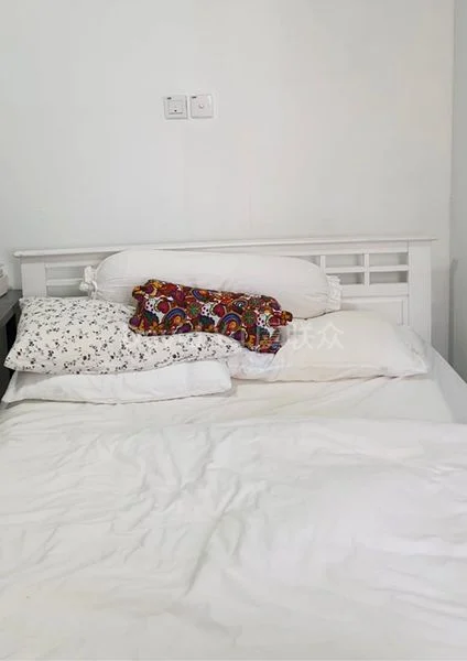 Common Room (Condo) for Rent in  Balestier Plaza - Image 6