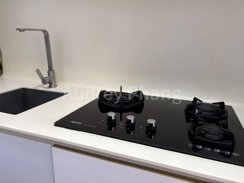 2 Bed Apartment (Condo) for Rent in  Bliss @ Kovan - Image 4