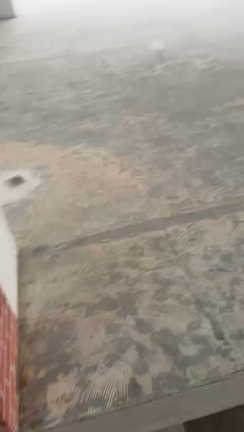 Light Industrial (B1) for Rent in  Zhaolim Building - Image 8