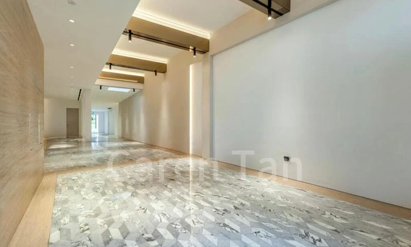 Shop / Shophouse for Sale: Bukit Pasoh Shop House - Image 1