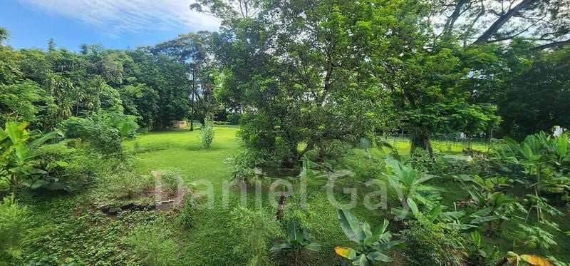 4 Bed Corner Terrace (Landed) for Sale in  Seletar Garden - Image 11