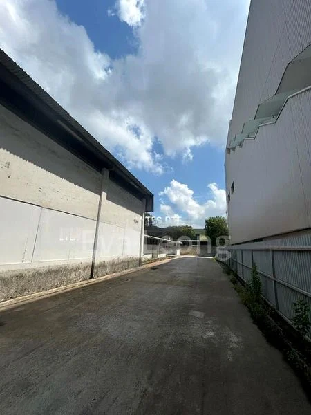 Factory / Workshop (B2) for Sale: Pioneer Road area - Image 5