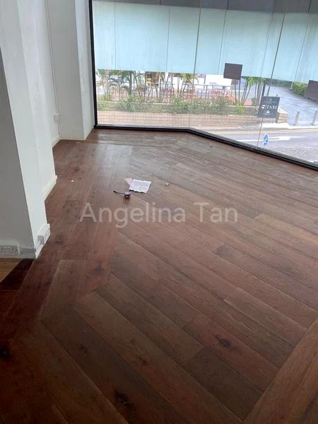 Other Retail for Sale: Orchard Plaza - Image 1