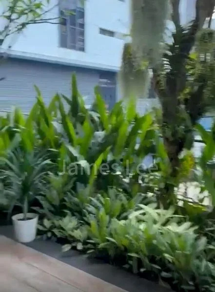 4 Bed Terraced House (Landed) for Rent in  Sunrise Gardens - Image 2