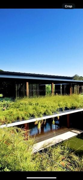 6 Bed Bungalow (Landed) for Rent in  Nassim Road - Image 8