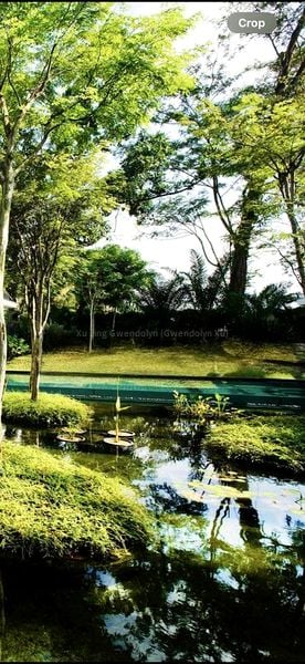 6 Bed Bungalow (Landed) for Rent in  Nassim Road - Image 4