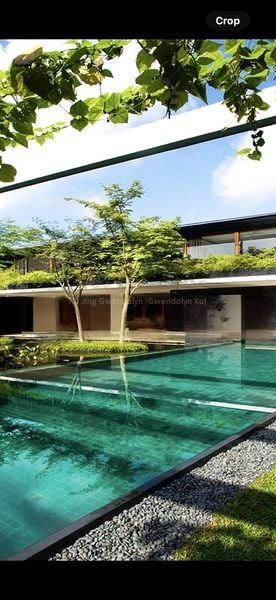 6 Bed Bungalow (Landed) for Rent in  Nassim Road - Image 7