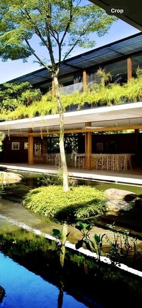 6 Bed Bungalow (Landed) for Rent in  Nassim Road - Image 3