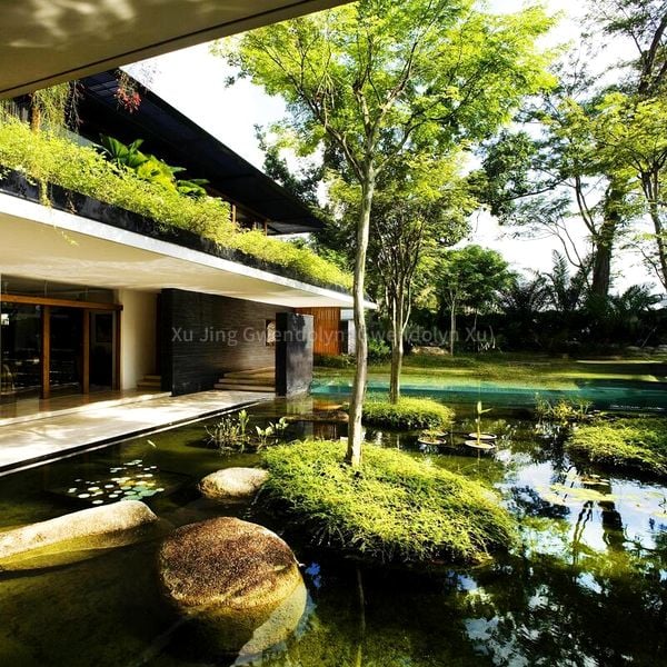 6 Bed Bungalow (Landed) for Rent in  Nassim Road - Image 10