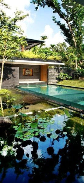 6 Bed Bungalow (Landed) for Rent in  Nassim Road - Image 6